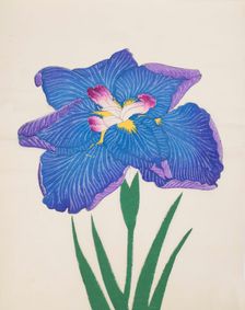 Azumabotan, No. 89, 1890, (colour woodblock print)