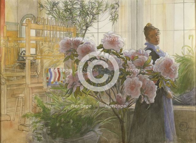 Azalea, 1906. Artist: Larsson, Carl (1853-1919)