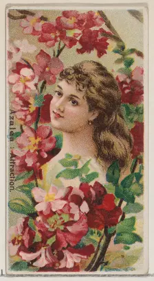 Azalea: Attraction, from the series Floral Beauties and Language of Flowers (N75) for Duke..., 1892. Creator: Donaldson Brothers
