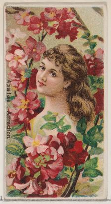 Azalea: Attraction, from the series Floral Beauties and Language of Flowers (N75) for Duke..., 1892. Creator: Donaldson Brothers
