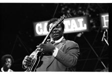 B.B. King, Capital Jazz, Knebworth, 1982. Artist: Brian O'Connor