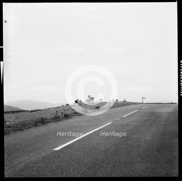 B3212 road, Challacombe Cross, Dartmoor, Devon, 1967. Creator: Eileen Deste.