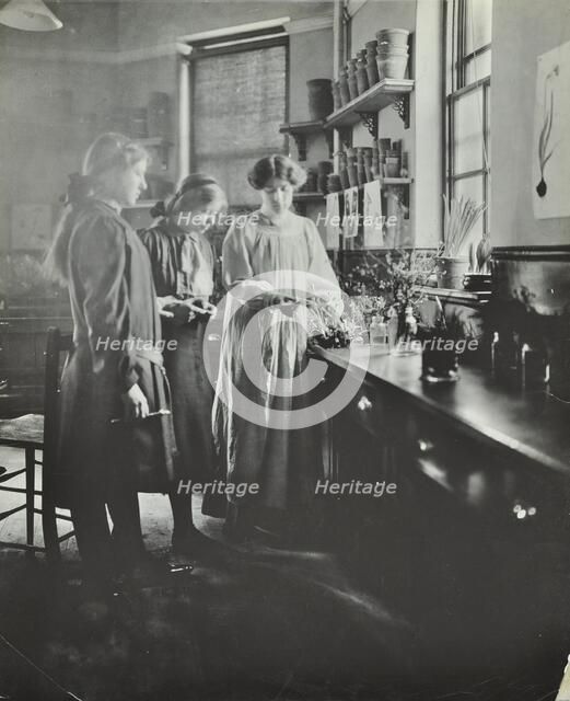 Botany lesson, Chelsea Secondary School (Hortensia Road School), London, 1911. Artist: Unknown.