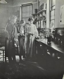 Botany lesson, Chelsea Secondary School (Hortensia Road School), London, 1911