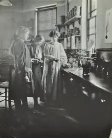 Botany lesson, Chelsea Secondary School (Hortensia Road School), London, 1911