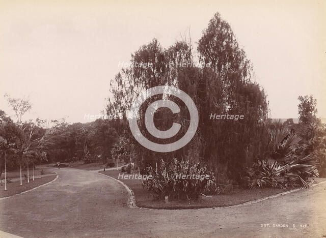 Botanical Garden, 1860s-70s. Creator: Unknown.