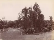 Botanical Garden, 1860s-70s. Creator: Unknown