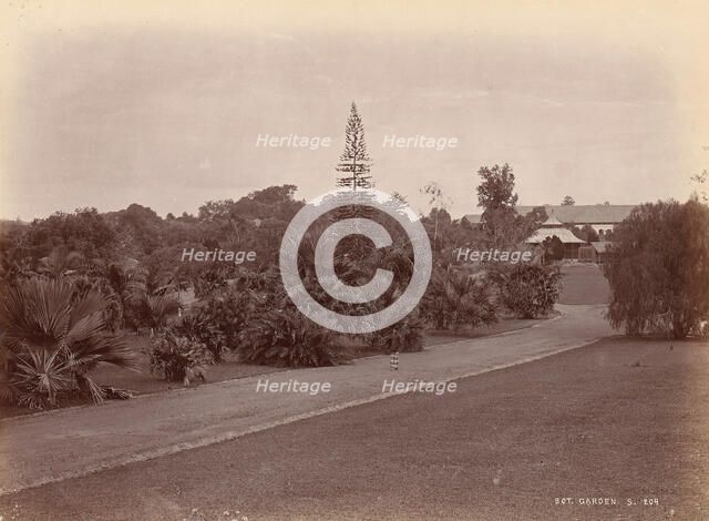 Botanical Garden, 1860s-70s. Creator: Unknown.