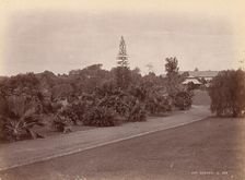 Botanical Garden, 1860s-70s. Creator: Unknown