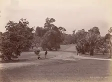 Botanical Garden, 1860s-70s. Creator: Unknown