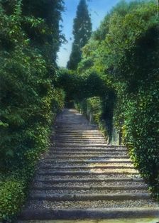 Botanical Garden, Isola Madre, Lake Maggiore, Piedmont, Italy, 1925. Creator: Frances Benjamin Johnston