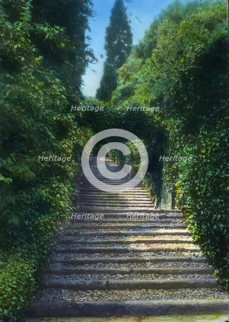 Botanical Garden, Isola Madre, Lake Maggiore, Piedmont, Italy, 1925. Creator: Frances Benjamin Johnston.