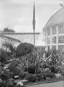 Botanical Gardens, 1917 or 1918. Creator: Harris & Ewing