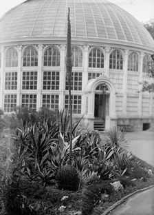 Botanical Gardens, 1917 or 1918. Creator: Harris & Ewing