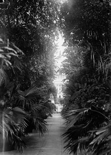 Botanical Gardens, 1917 or 1918. Creator: Harris & Ewing
