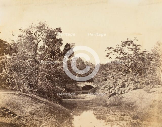 Botanical Gardens, Calcutta, 1850s. Creator: Unknown.