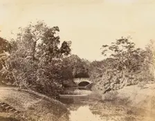 Botanical Gardens, Calcutta, 1850s. Creator: Unknown