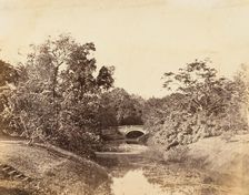 Botanical Gardens, Calcutta, 1850s. Creator: Unknown