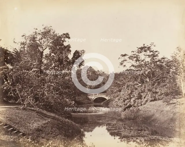 [Botanical Gardens, Calcutta], 1850s. Creator: Captain R. B. Hill.
