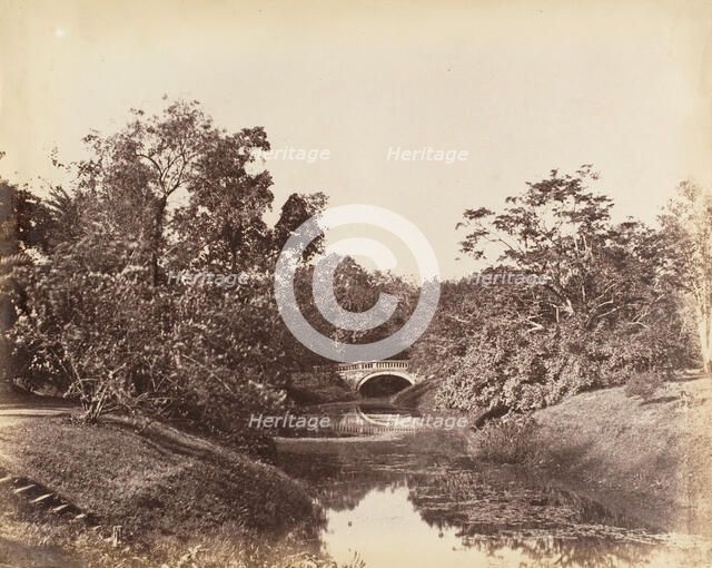 [Botanical Gardens, Calcutta], 1850s. Creator: Captain R. B. Hill.