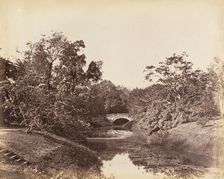 [Botanical Gardens, Calcutta], 1850s. Creator: Captain R. B. Hill