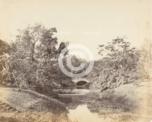 Botanical Gardens, Calcutta, 1850s. Creator: Captain R. B. Hill.