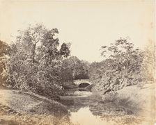 Botanical Gardens, Calcutta, 1850s. Creator: Captain R. B. Hill
