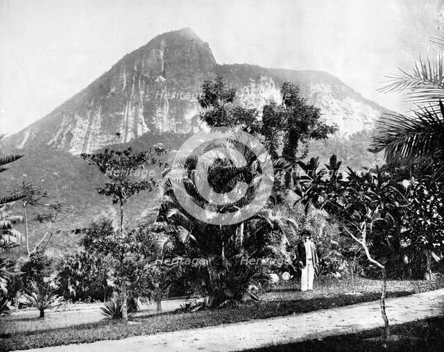 Botanical Gardens and Mount Corcovado, Rio De Janeiro, Brazil, 1893.Artist: John L Stoddard