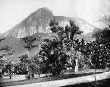 Botanical Gardens and Mount Corcovado, Rio De Janeiro, Brazil, 1893.Artist: John L Stoddard