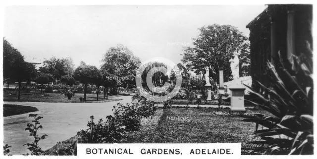Botanical Gardens, Adelaide, Australia, 1928. Artist: Unknown