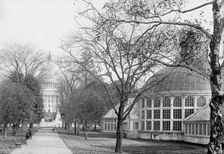 Botanical Gardens At The Capitol, 1917. Creator: Harris & Ewing