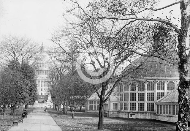 Botanical Gardens At The Capitol, 1917. Creator: Harris & Ewing.