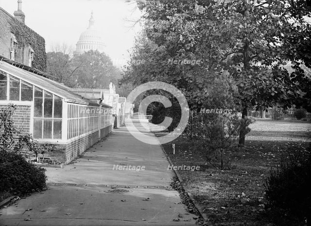 Botanical Gardens At The Capitol, 1917. Creator: Harris & Ewing.