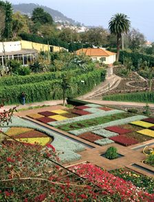 Botanical gardens, Funchal, Madeira, Portugal. Creator: Peter Thompson