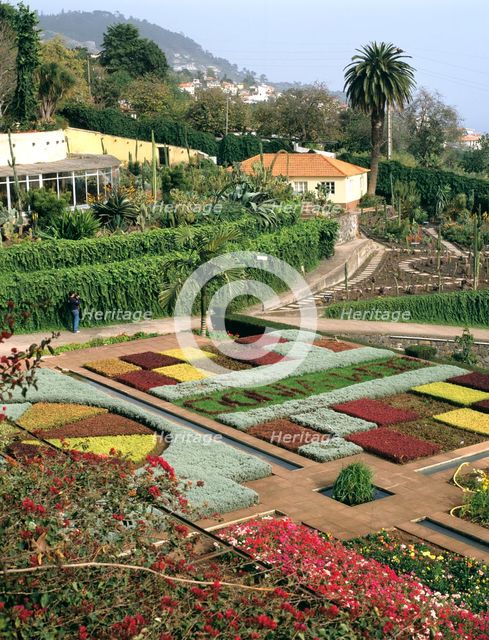 Botanical gardens, Funchal, Madeira, Portugal. Creator: Peter Thompson.