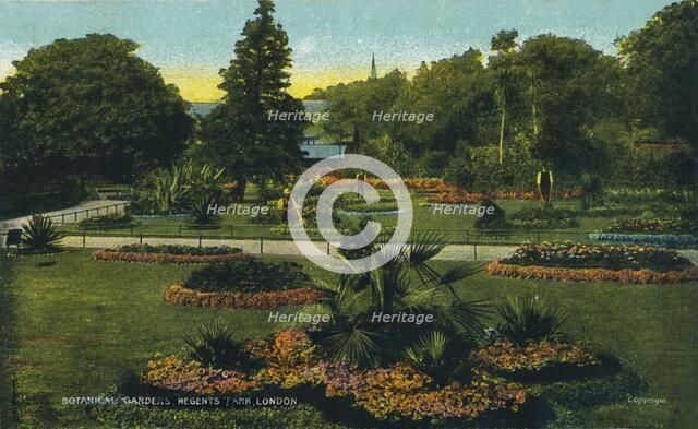 'Botanical Gardens, Regents Park, London', c1910. Artist: Unknown.