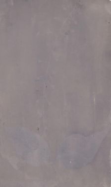 [Botanical Specimen], ca. 1835. Creator: William Henry Fox Talbot