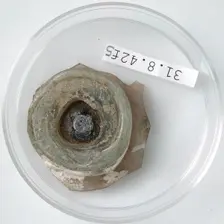 Bottle Base, Coptic, 4th century. Creator: Unknown