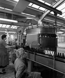 Bottling beer at Ward & Sons bottling plant, Swinton, South Yorkshire, 1961. Creator: Michael Walters