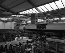 Bottling beer at Ward & Sons bottling plant, Swinton, South Yorkshire, 1961. Creator: Michael Walters