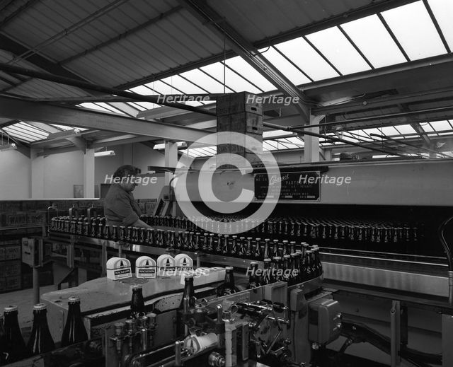 Bottling beer at Ward & Sons bottling plant, Swinton, South Yorkshire, 1961. Creator: Michael Walters.