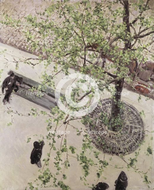 Boulevard Seen from Above, 1880.