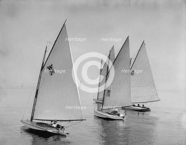 Bouncer, Spunk, Lobster, and Kazaza, 1899 July 22. Creator: John S Johnston.