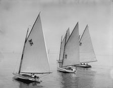 Bouncer, Spunk, Lobster, and Kazaza, 1899 July 22. Creator: John S Johnston