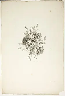 Bouquet with Carnations, from Collection of Different Bouquets of Flower..., published July 4, 1760. Creator: Pierre-Charles Canot