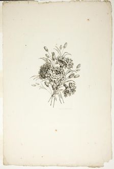Bouquet with Carnations, from Collection of Different Bouquets of Flower..., published July 4, 1760. Creator: Pierre-Charles Canot