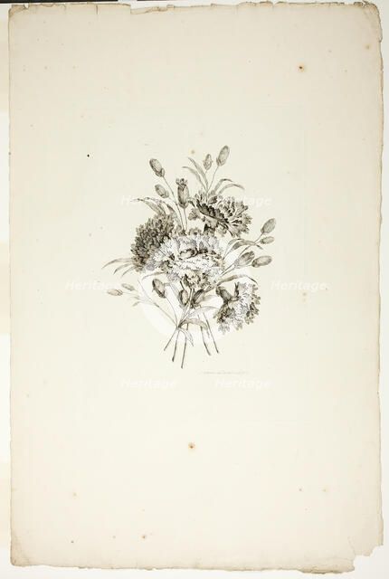 Bouquet with Carnations, from Collection of Different Bouquets of Flower..., published July 4, 1760. Creator: Pierre-Charles Canot.