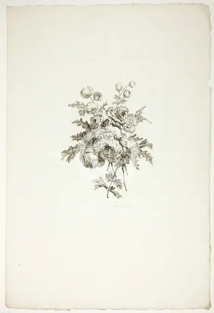 Bouquet with Peonies, from Collection of Different Bouquets of Flowers..., published July 4, 1760. Creator: Pierre-Charles Canot.