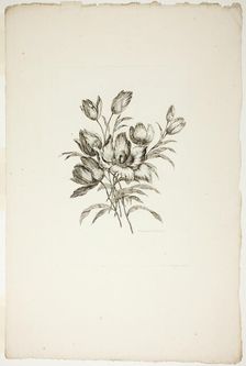 Bouquet with Tulips, from Collection of Different Bouquets of Flowers, I..., published July 4, 1760. Creator: Pierre-Charles Canot