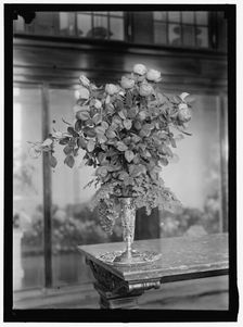 Bouquet, between 1911 and 1920. Creator: Harris & Ewing